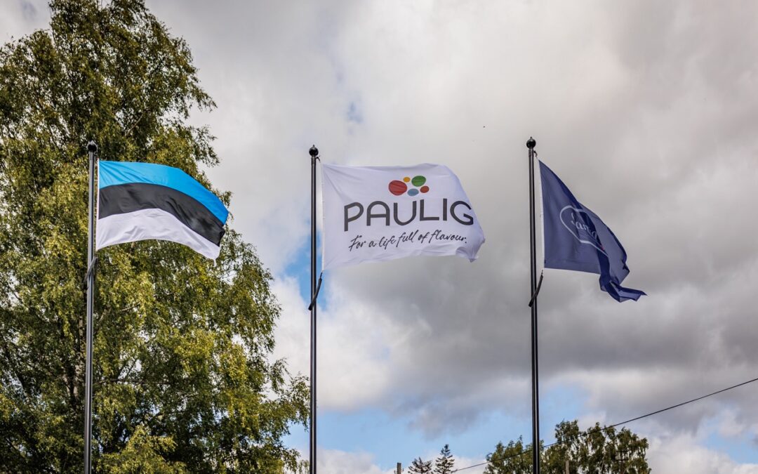 Paulig suvepiknik 2024