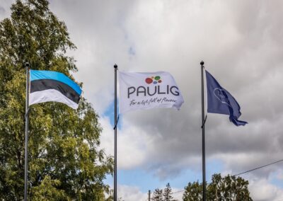 Paulig suvepiknik 2024